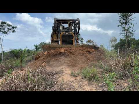 One Pass Directly Becomes D6R XL Bulldozer Making Plantation Roads