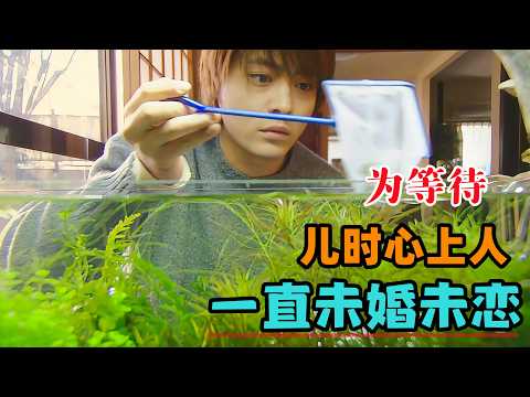 男人为了等待儿时心上人，开了间水草店，一直没有结婚也没有谈恋爱！一口气看完《等待，只为与你相遇》#大鱼解说