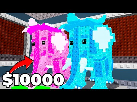 $1 Account vs $10,000 Account In Steal A Brainrot