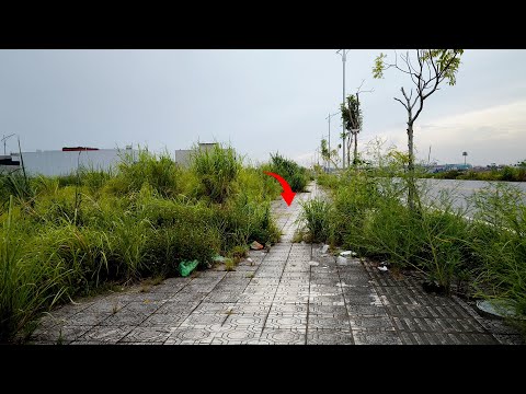 Restoring Abandoned Sidewalk From 1 Feet to 20 Feet After Trash and Huge Weeds Are Cleared.