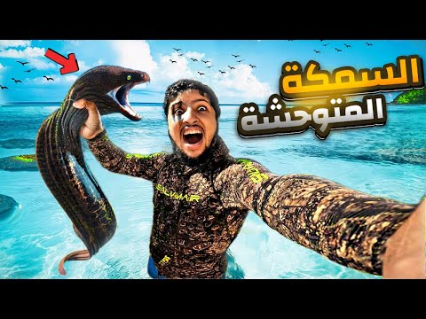 🚨 وأخيراً شديت المرينة المتوحشة 🐍 بأقدم تقنية صيد: البلانكري ‼️