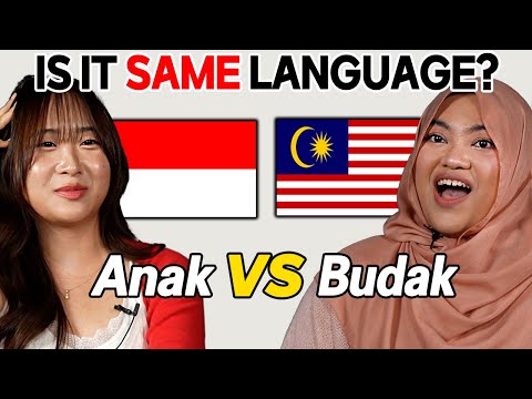 Malaysia Vs Indonesia l Can They Understand Each Other in Their Language?