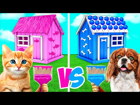 We Built a House For Pets by BaRaDa Challenge