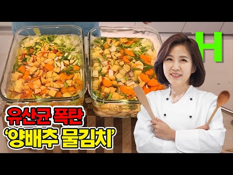 국물이 끝내줘요 유산균 가득 시원한 양배추 물김치