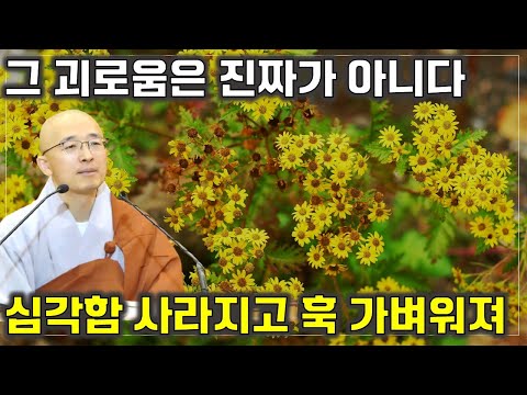 [불이17] 삶의 심각함이 사라지고 훅 가벼워져, 괴로움은 진짜 괴로움이 아니다