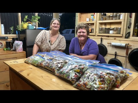 The Best Vegetable Blends Ever! | Flash Foods | Stocking the Freezer