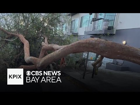 Intense storm leaves damage across Bay Area for Christmas as new storm moves in