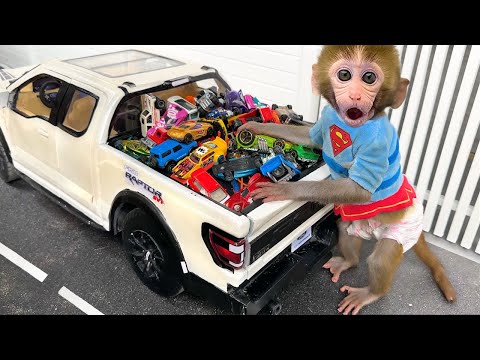 🔴LIVE – Monkey Baby Bon Bon drives a car and plays with puppy and duckling by the track