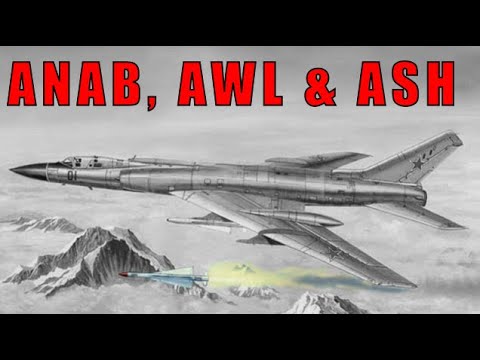 The Soviet Union's Monster Air To Air Missiles Were Like Nothing In The West