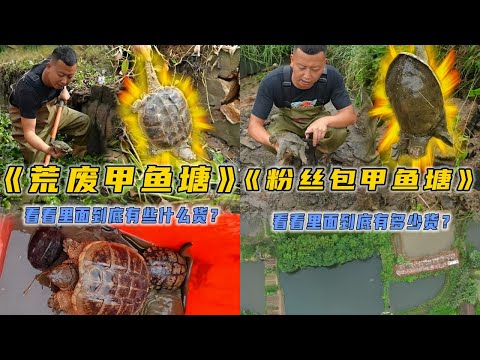 小飞哥花1300元包下荒废10多年的甲鱼塘，里面到底有什么货？｜花2000元包下爷爷家的老甲鱼塘，看看里面到底会有什么？