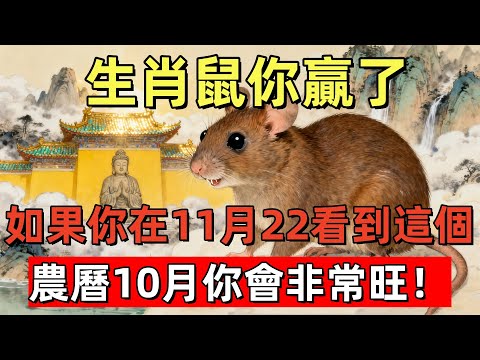 生肖鼠你贏了！如果你在11月22看到這個，農曆10月你會非常旺！#生肖星象#屬相運勢#生肖#家運#手寫#生肖運勢的那些事#先知#風水變化#提升運勢