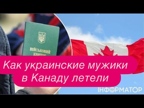 The incident with the Ukrainian woman in a cafe in Poland and why Poles do it. #news #refugeesfro...