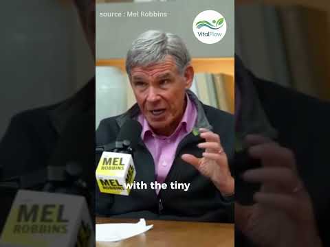 Can Your Air Filter Really Protect You from Toxic Air? The Truth Will Shock You!