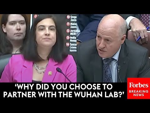 MUST WATCH: Nicole Malliotakis Has Tense Grilling Of EcoHealth Alliance President Dr. Peter Daszak