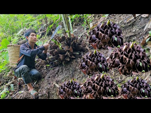 Harvesting horseshoes for sale - Caring for livestock on the farm