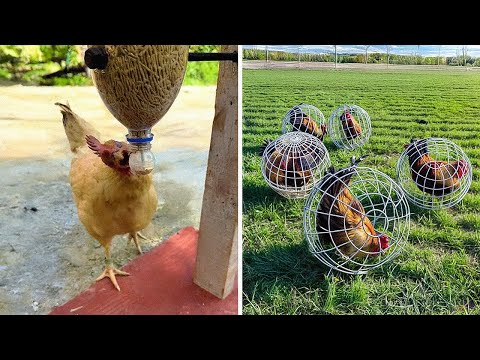 Helpful Tips and Tricks from the Masters That Actually Work