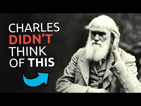 This Video DESTROYS the Atheistic Worldview