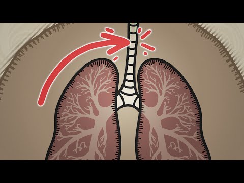 Our Lungs Have A Fatal Flaw