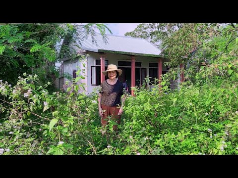 The very successful Mrs. Hong returned to her deceased grandparents' old house to renovate it.