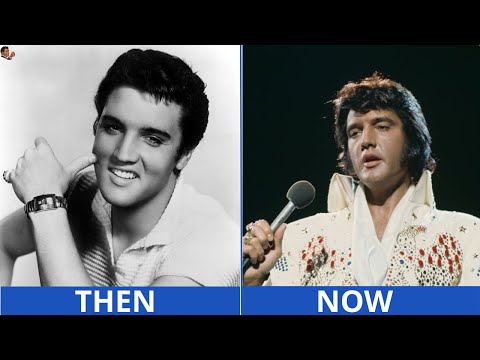 Remember These Rock Icons 50 Legends of the 60s & 70s — Then & Now (2026)