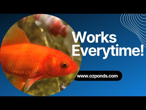 The secret to a crystal clear garden pond.