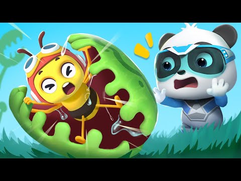 Rescue Honeybee Mission +More | Super Rescue Team Collection | Best Cartoon Collection