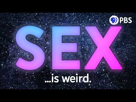 Why Is Sex a Thing?