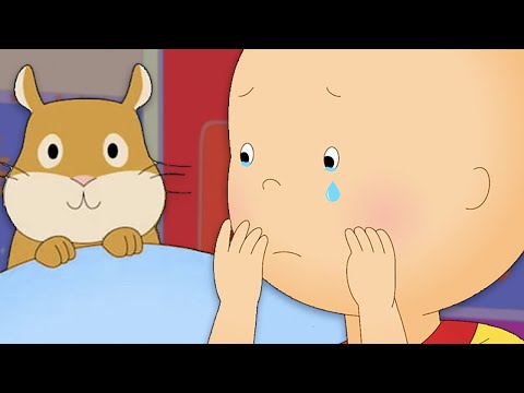 Caillou Loses a Friend | Caillou Cartoon