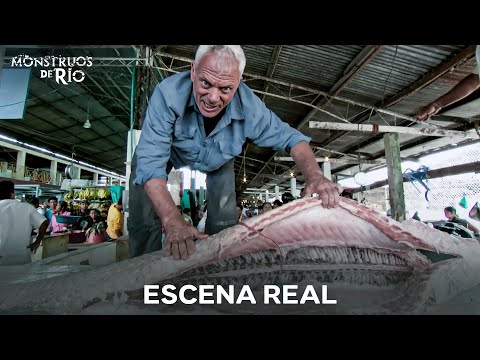 Llevamos Un Monstruo De Río Al Corazón De La Ciudad | Monstruos de Río