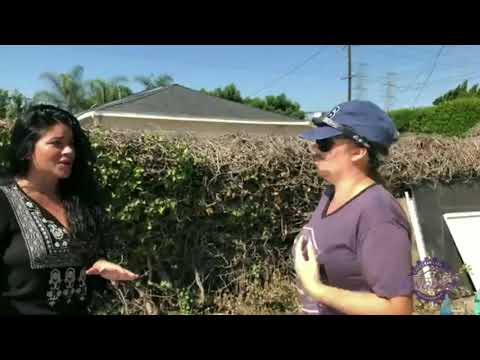 The Family Mechanic (Full video)