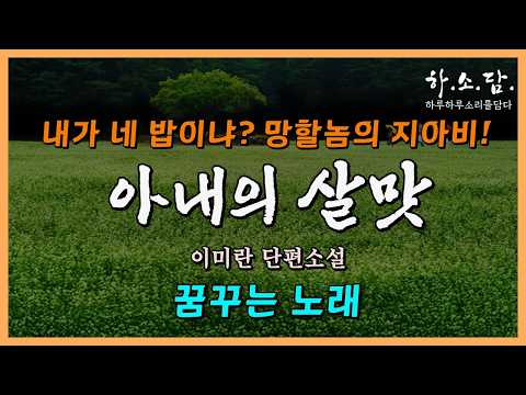 십 년을 살대고 살아온 남편이 드디어 나를 인정해주다니...살맛이 난다는 그녀! [ 꿈꾸는 노래  - 이미란 단편소설] #하소담오디오드라마