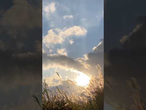 [ととのい映像]ととのいステーション 秋／さふぃスパ舞子「シーサイドホテル舞子ビラ神戸」