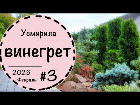 ☘️Прогулка по саду -3☘️  17 секретов хвойной композиции ☘️Схема посадки.☘️ Ландшафтный дизайн☘️