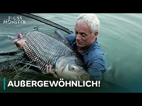 Der faszinierendste Fisch, den Jeremy gefangen hat | Fluss Monster