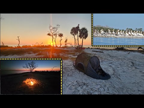 Camping, Tropical Island With Hundreds Of Pelicans 