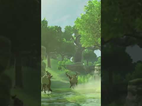 The Biggest Problem with Breath of the Wild #botw #gamedesign  #gaming