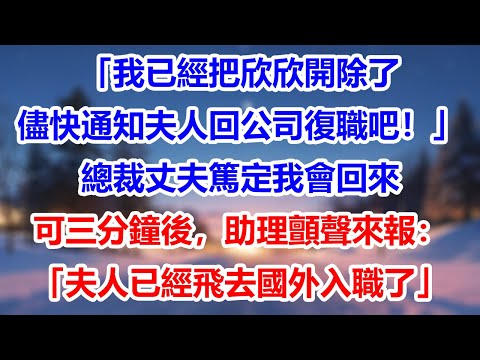 「我已經把欣欣開除了,儘快通知夫人回公司復職吧!」總裁丈夫篤定我會回來,可三分鐘後,助理顫聲來報:「夫人已經飛去國外入職了」#為人處世#生活經驗#情感故事#故事#小說#戀愛#情感#婚姻