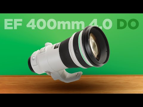 The Canon EF 400mm F/4.0 DO IS II USM Lens Review /// Is It Worth the Money?