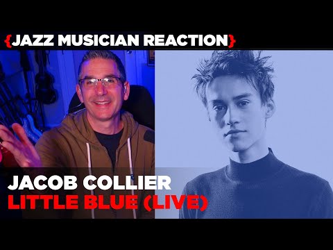Jazz Musician REACTS | Jacob Collier "Little Blue" (LIVE) | MUSIC SHED EP388