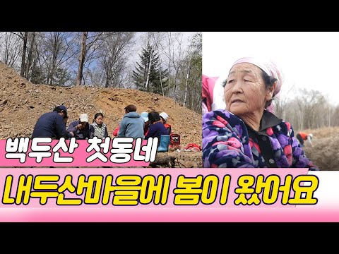 백두산 첫마을 내두산마을에 봄이 왔어요 (다큐공감) [세상실험] KBS 2019 5 26 방송