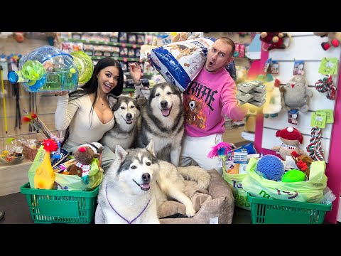 ПОКУПАЮ ВСЁ до чего Дотронется Моя Собака !