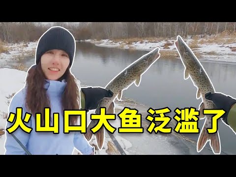 火山口冰河里大鱼泛滥了，新手也能轻松钓到大鱼！我发财的机会来了！ #钓鱼 #fishing #大豪夫妇