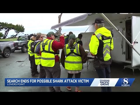 Father of missing swimmer says he’s shocked after suspected Lovers Point shark attack