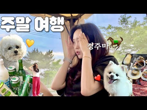 [VLOG] 앞만보는 경주마 여행 브이로그 🐎 | 주말여행 🩵 | 스테이제부 애견펜션 🐶| 남해여행 🦀 | 태안여행 🍗 | 캠핑야미 🔥 | 제부리야 🍖