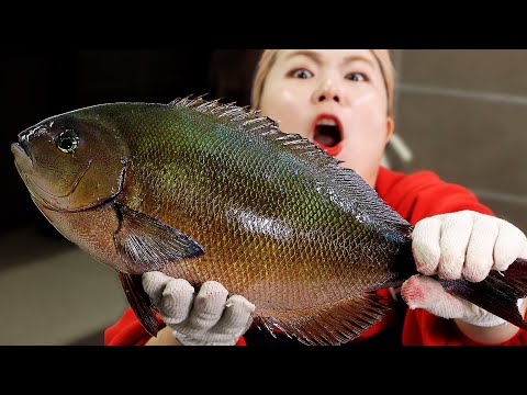 산지에서 잡자마자 다 먹어버려서 살 수도 없다는 생선... 얼마나 맛있길래?