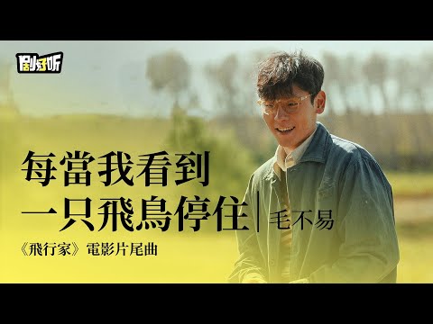 【影視劇ost】毛不易 | 每當我看到一只飛鳥停住 《飛行家》電影片尾曲 Take off OST#蔣奇明 #飛行家 #毛不易
