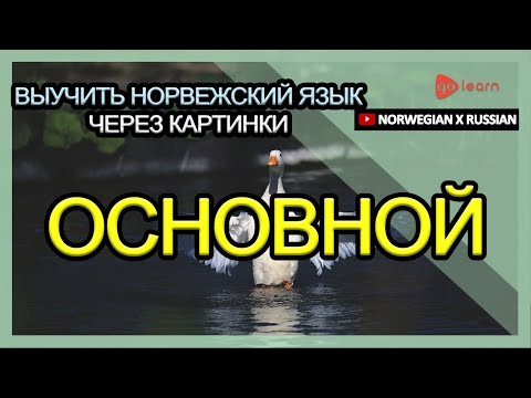 Выучить норвежский язык через картинки |норвежский язык словарь основной | Golearn