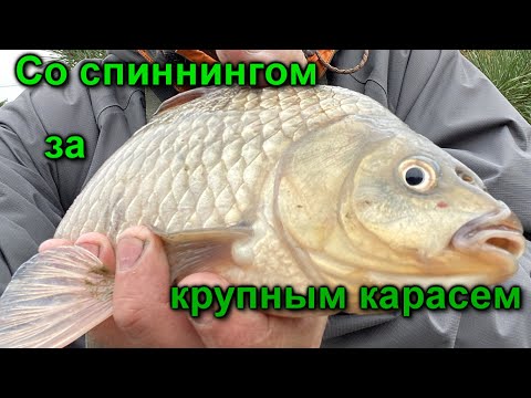 Карась на силикон. Просто БОМБА.