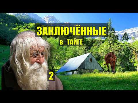 ДЕД 100 ЛЕТ в ТАЙГЕ ОТШЕЛЬНИК ЗАИМКА ДОМ в ЛЕСУ БРОДЯГИ ТАЙГИ ИСТОРИИ из ЖИЗНИ АУДИОКНИГА СЕРИАЛ 2