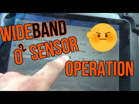 Wide Band Oygen Sensor operation